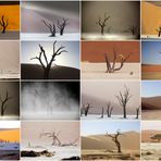 Deadvlei 2023