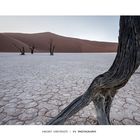 Deadvlei