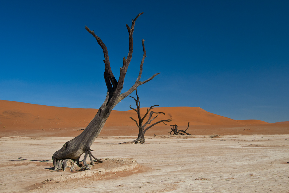 Deadvlei Foto & Bild africa, southern africa, namibia Bilder auf