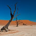 Deadvlei