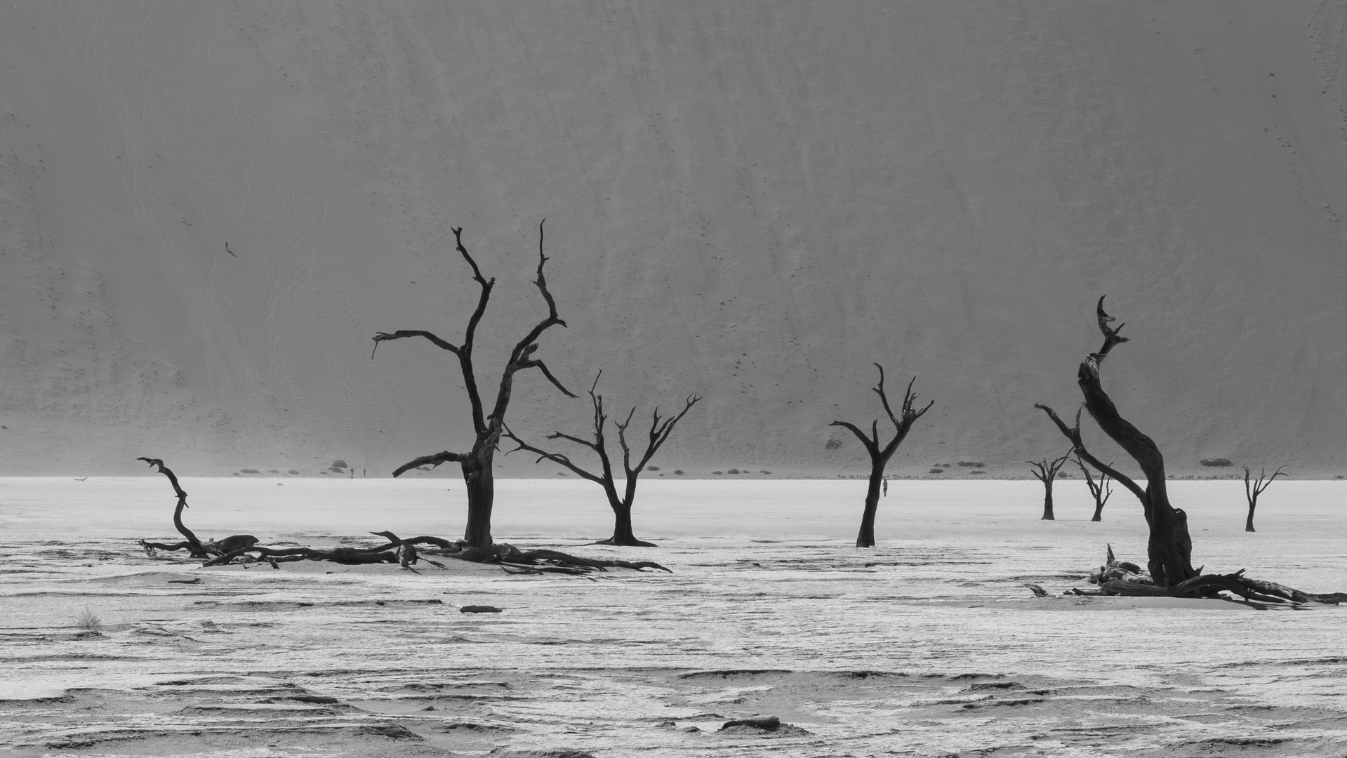 - Deadvlei -