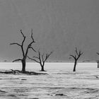 - Deadvlei -