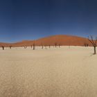 Deadvlei