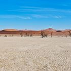 Deadvlei