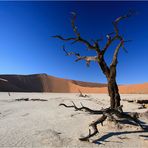 Deadvlei