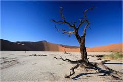 Deadvlei