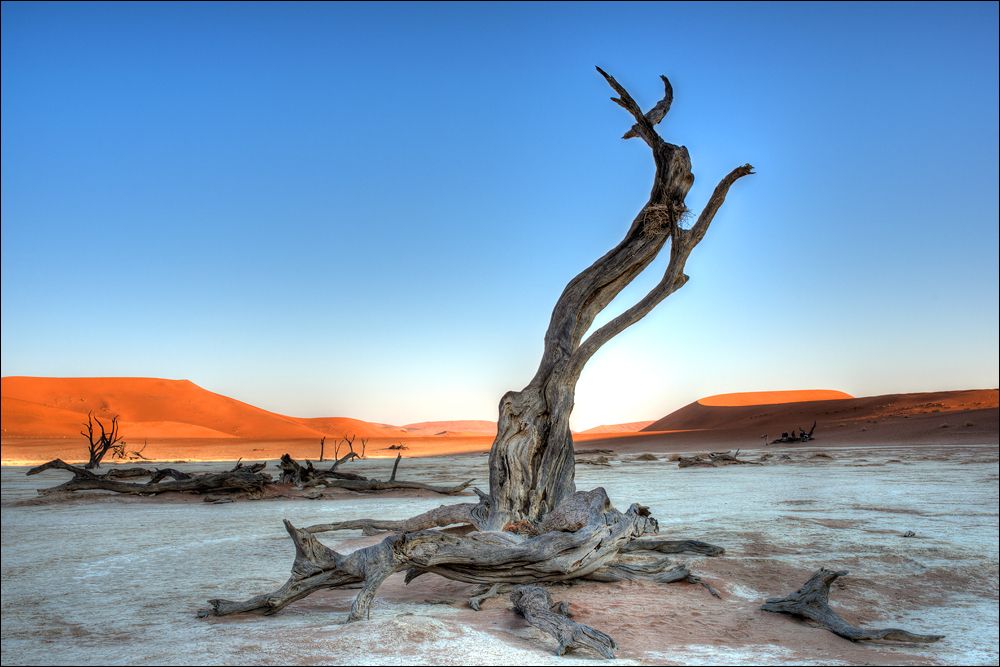 Deadvlei