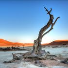 Deadvlei