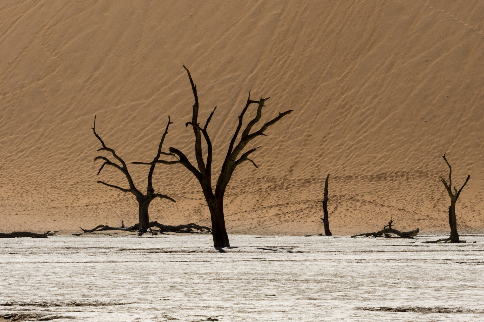 Deadvlei Foto & Bild africa, southern africa, namibia Bilder auf