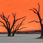 Deadvlei