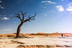 deadvlei 4