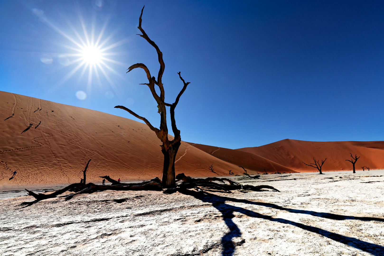 Deadvlei 