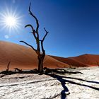 Deadvlei 