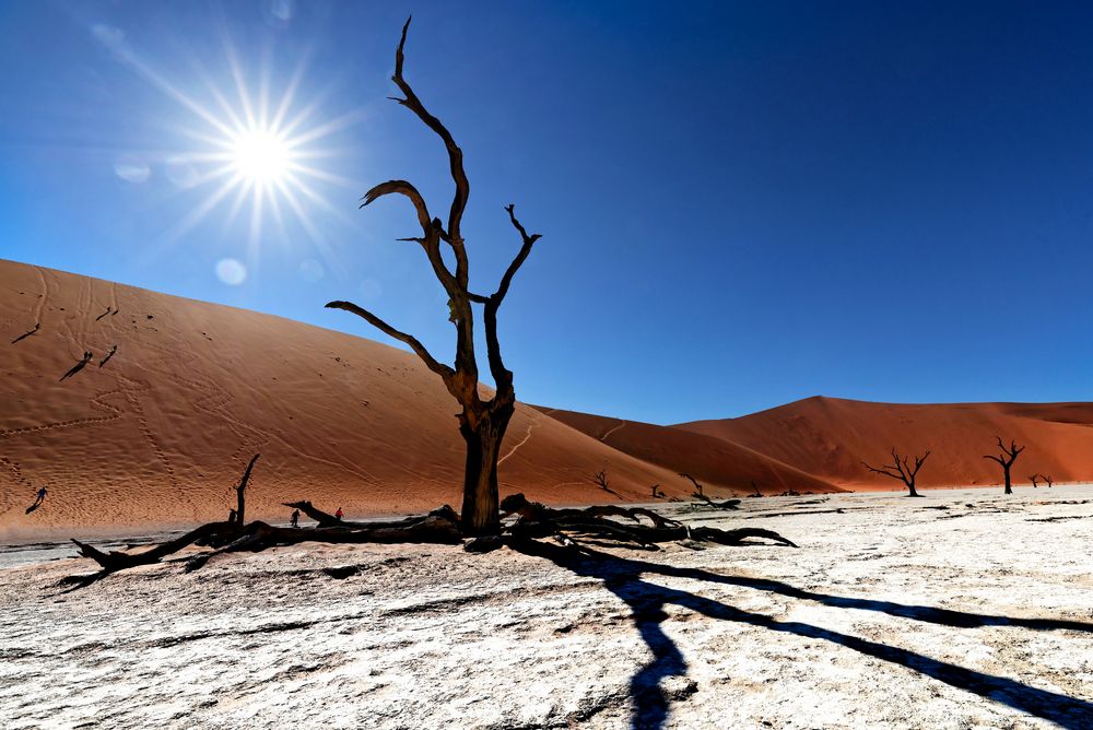 Deadvlei 