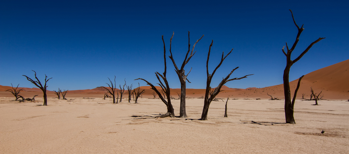 Deadvlei