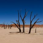 Deadvlei