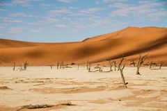 deadvlei 5