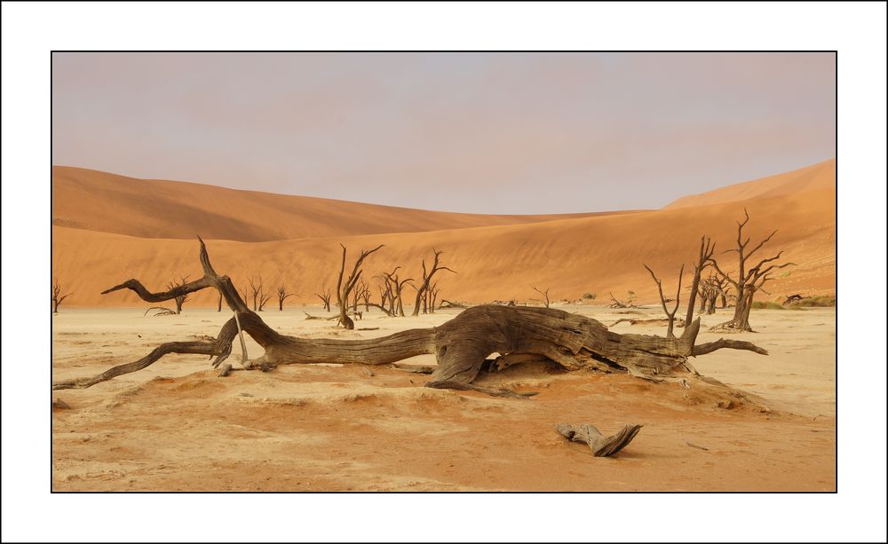 Deadvlei