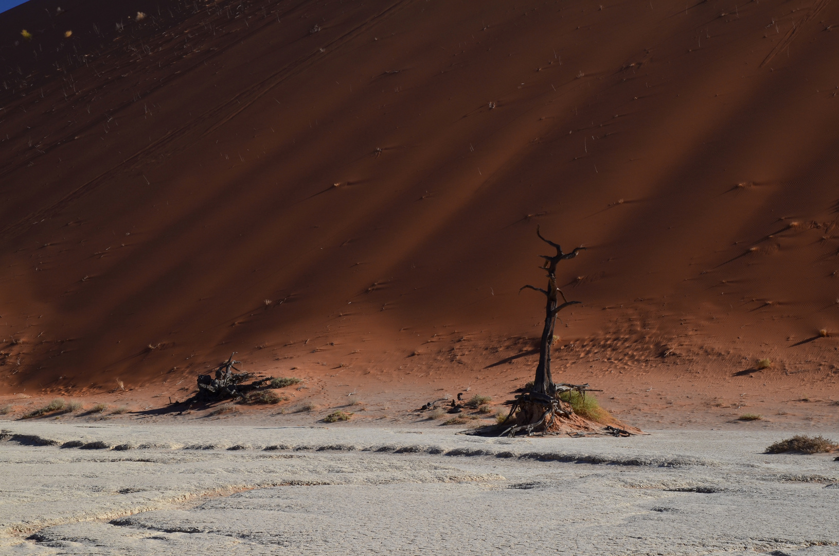 Deadvlei