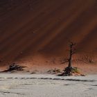 Deadvlei