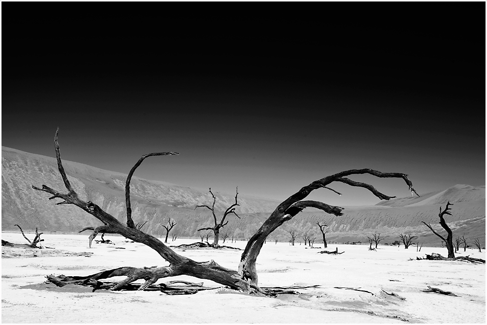 Deadvlei