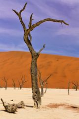 Deadvlei