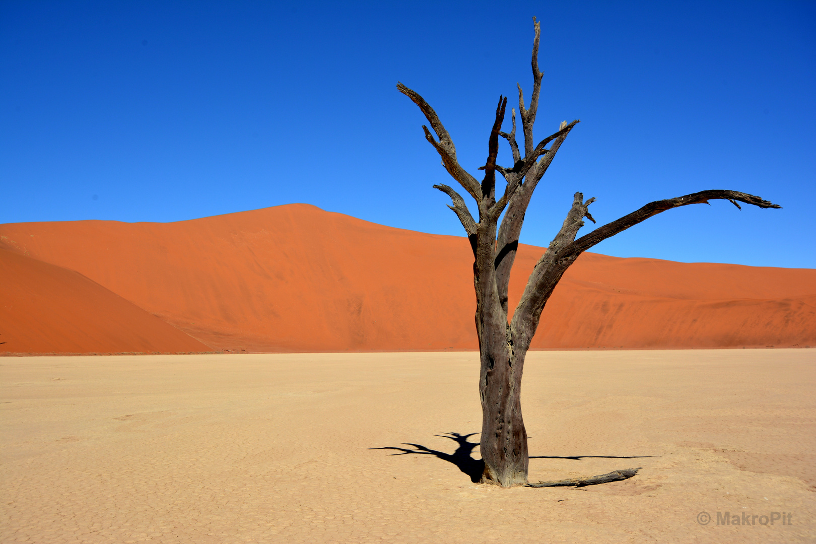 Deadvlei