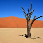 Deadvlei