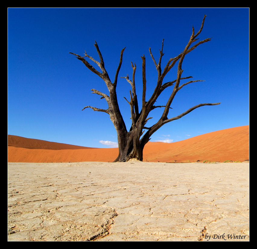 Deadvlei