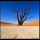 Deadvlei