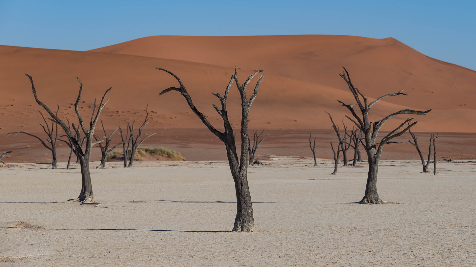 Deadvlei