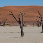 Deadvlei