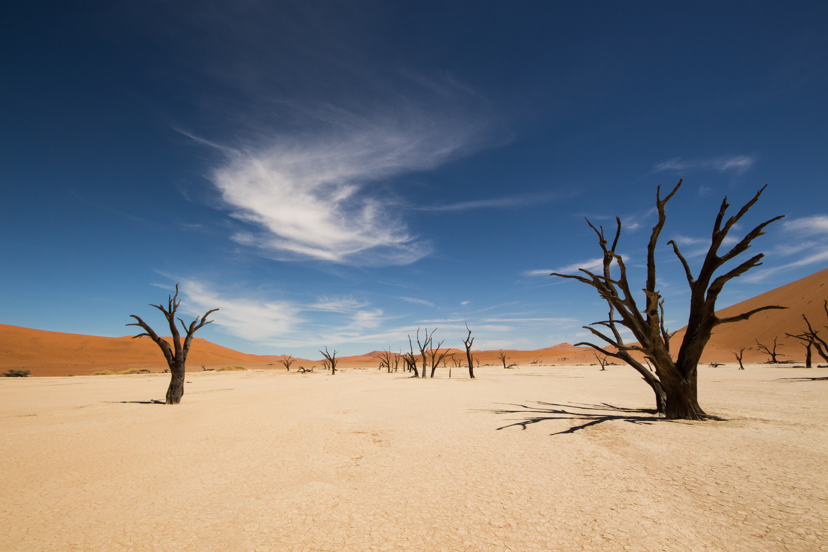 Deadvlei