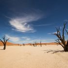 Deadvlei