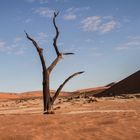 deadvlei 6