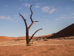 deadvlei 6