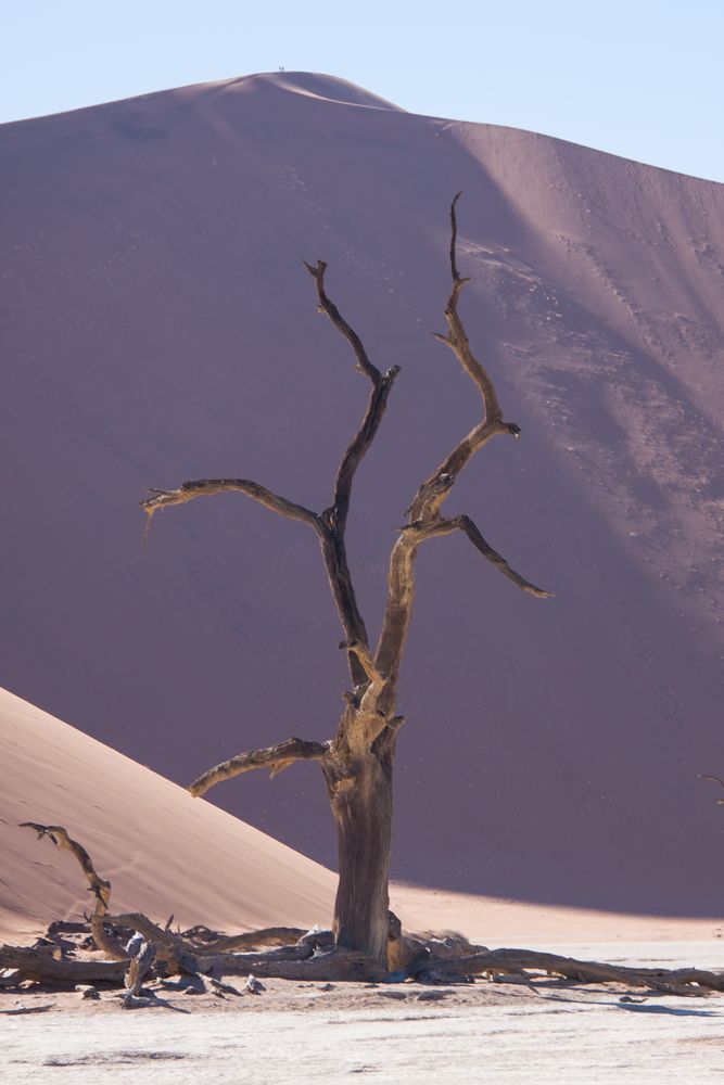 Deadvlei