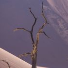 Deadvlei