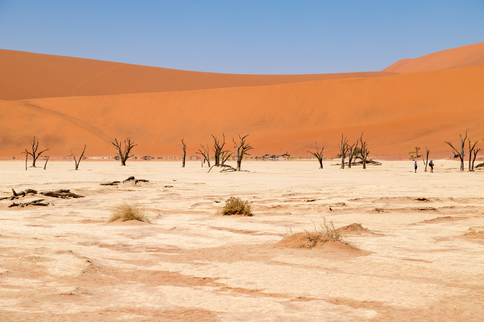 Deadvlei