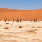 Deadvlei