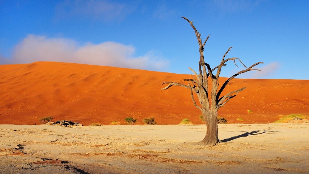 Deadvlei