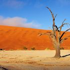 Deadvlei