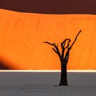 Deadvlei