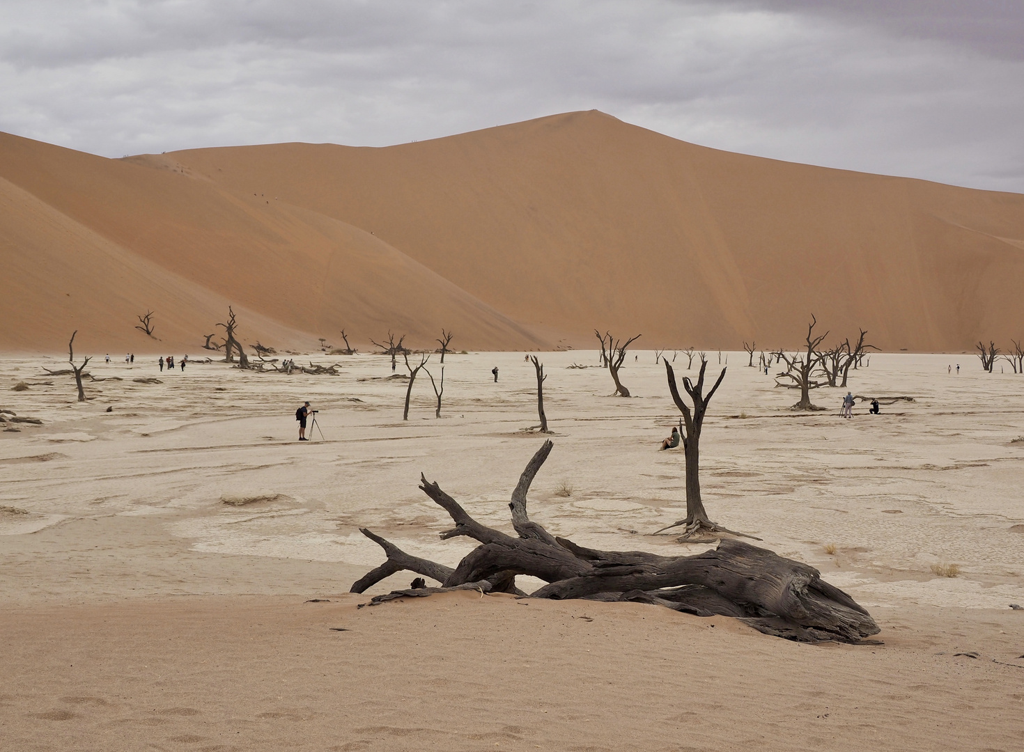 Deadvlei