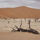 Deadvlei