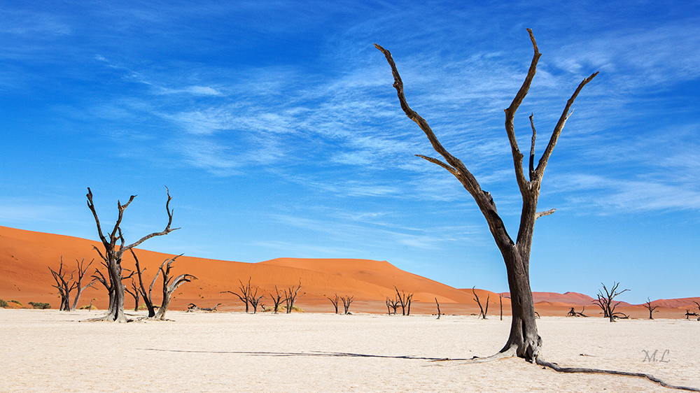 Deadvlei