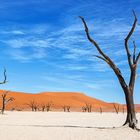 Deadvlei