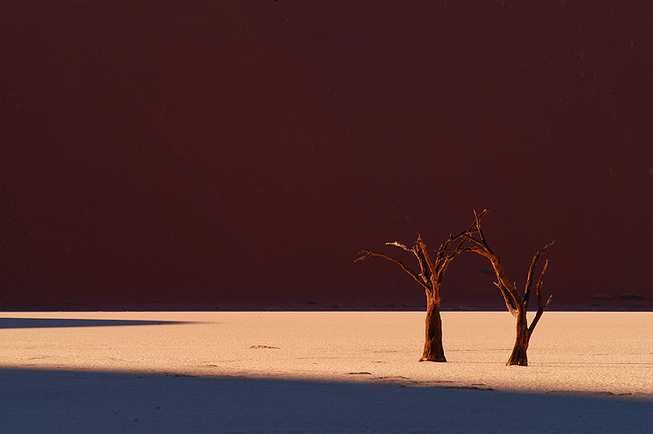 Deadvlei