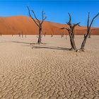 Deadvlei