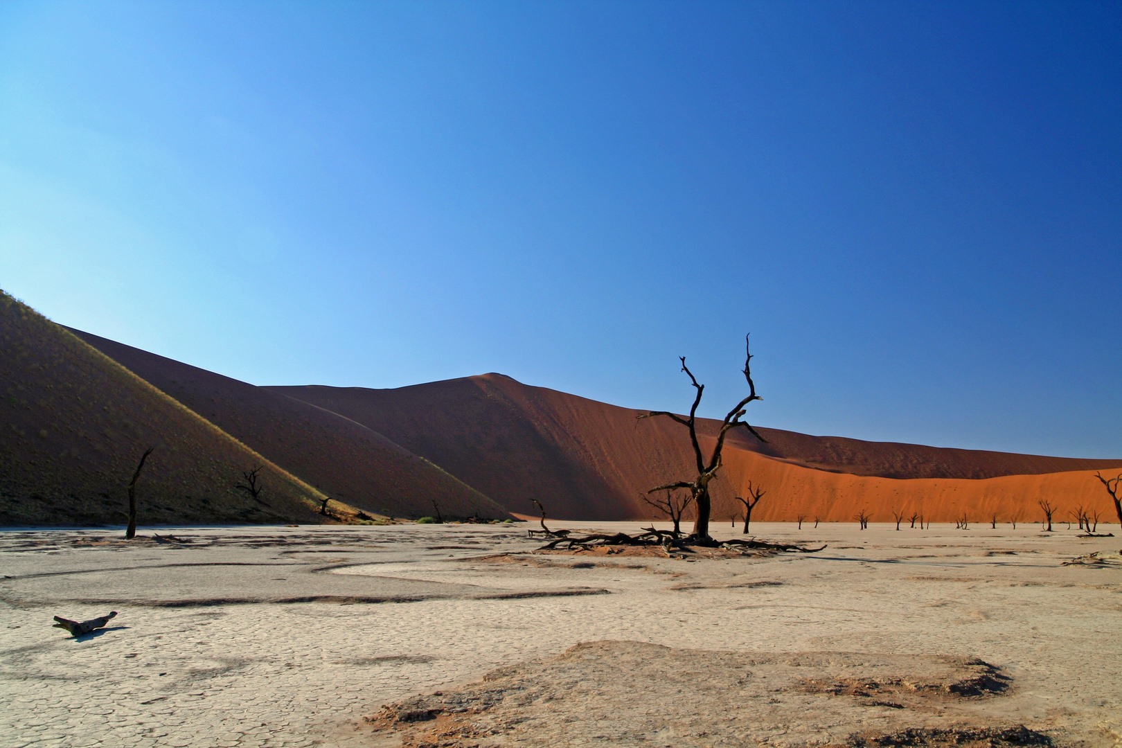 Deadvlei